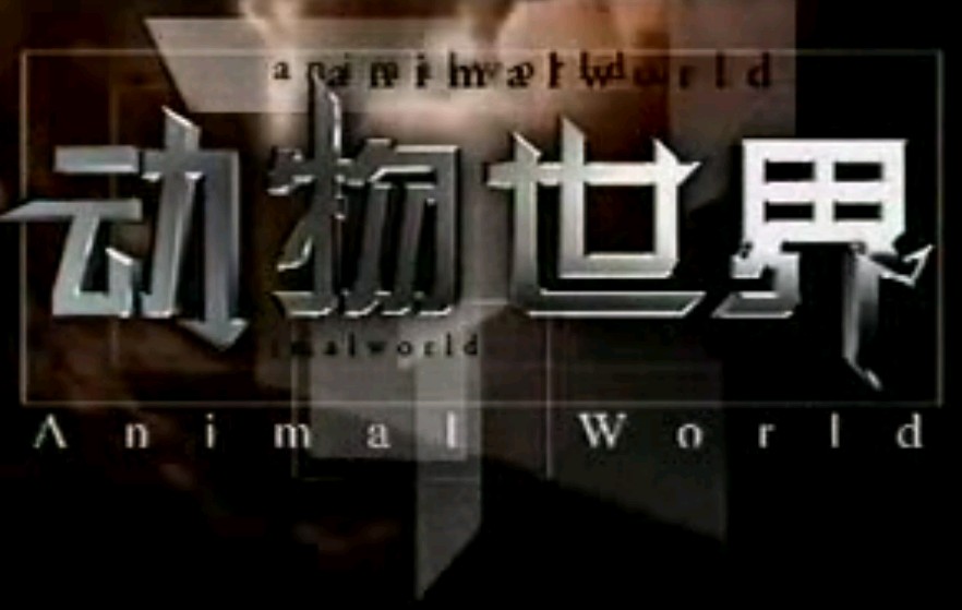 动物世界_我们不知道的自然秘密（六）